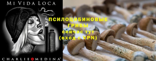 MDMA Заводоуковск