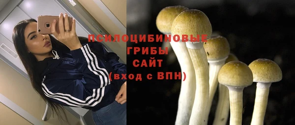 MDMA Заводоуковск