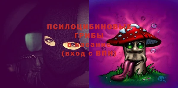 MDMA Заводоуковск