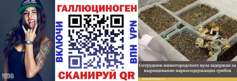 Псилоцибиновые грибы Cubensis  Сегежа 